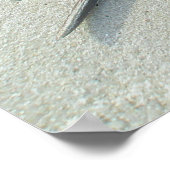 Hoefijzer Crab Poster (Hoek)