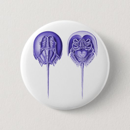 Hoefijzer Crab Ronde Button 5,7 Cm (Voorkant)