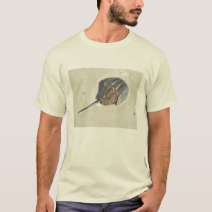 Hoefijzer Crab T-Shirt