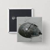 Hoefijzer Crab Vierkante Button 5,1 Cm (Voorkant /achterkant)