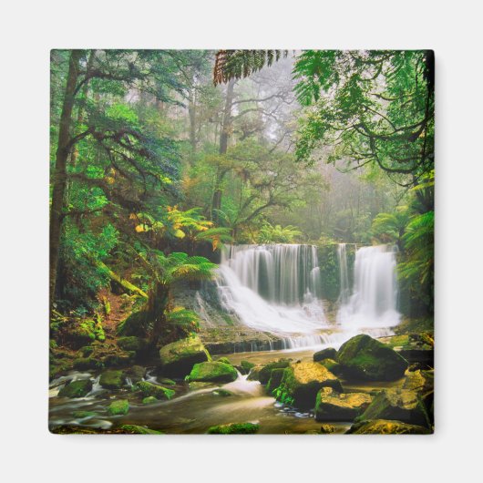 Hoefijzer Herfsten Omringd door regenwoud Magneet (Voorkant)