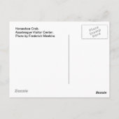 Hoefijzer krab, #1 briefkaart (Achterkant)