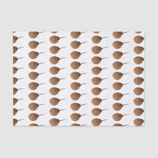 Hoefijzer krab cartoon illustratie tissuepapier (Voorkant)