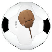 Hoefijzer krab cartoon illustratie voetbal (Gedraaid)