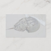 Hoefijzer krab - mannelijk visitekaartje (Achterkant)