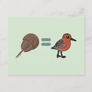 Hoefijzer krabben zijn leven briefkaart