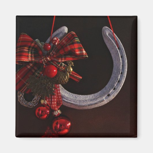 Hoefijzer voor paardenkerst magneet (Voorkant)