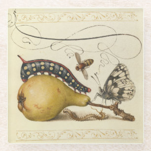 Hoefnagel Vintage Peer & Insecten 1500s Renaissanc Glazen Onderzetter