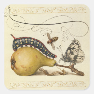Hoefnagel Vintage Peer & Insecten 1500s Renaissanc Vierkante Sticker