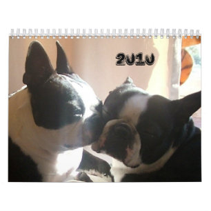 Hoesje 2010, 2010 kalender