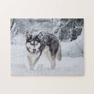 Hoesje in de sneeuw legpuzzel