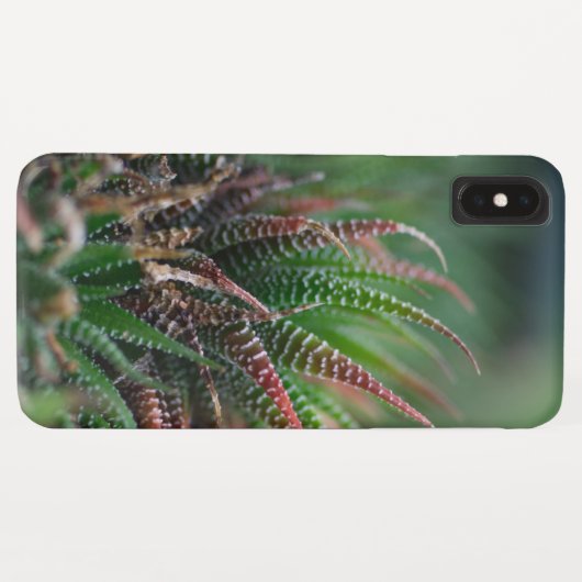 Hoesje-Mate Barely daar Apple iPhone XS Max Hoesje (Achterkant (horizontaal))