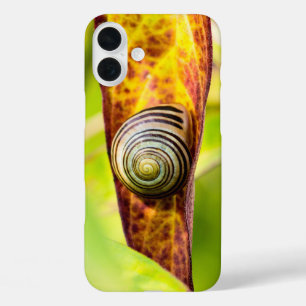 hoesje-Mate iPhone-case voor stille beslaglegging iPhone 16 Plus Hoesje