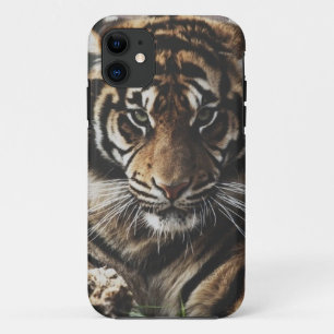 Hoesje Tiger