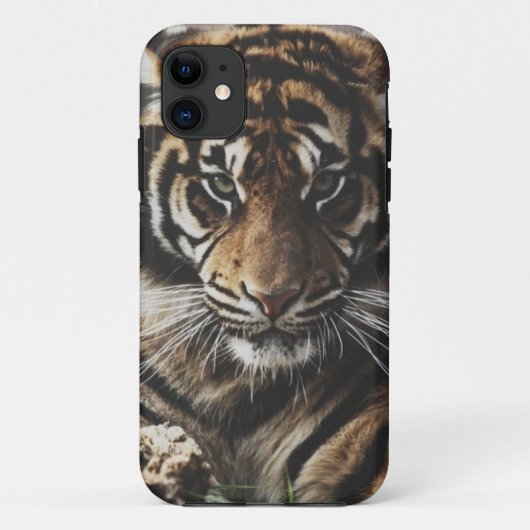 Hoesje Tiger (Achterkant)