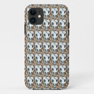 hoesje van de muerteschedel