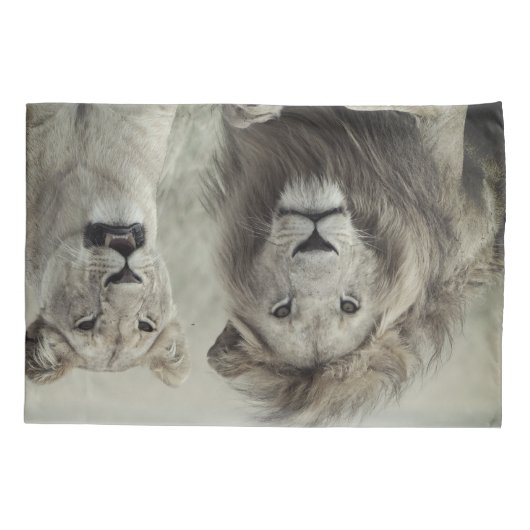 Hoesjes met een leeuwenklooier (standaard- of koni kussensloop (Achterkant-Links)