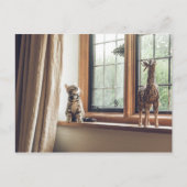 Hoeveel is dat Kat in het raam? Briefkaart (Voorkant)