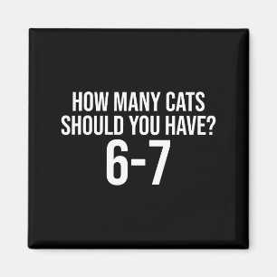 Hoeveel katten moet je hebben 6-7 Grappige 67 Meme Magneet
