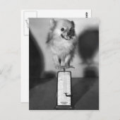 Hoeveel trek ik? briefkaart (Voorkant / Achterkant)