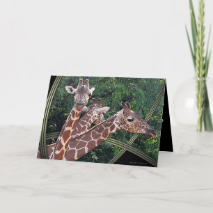 Hoffmans Hawaii Kaart