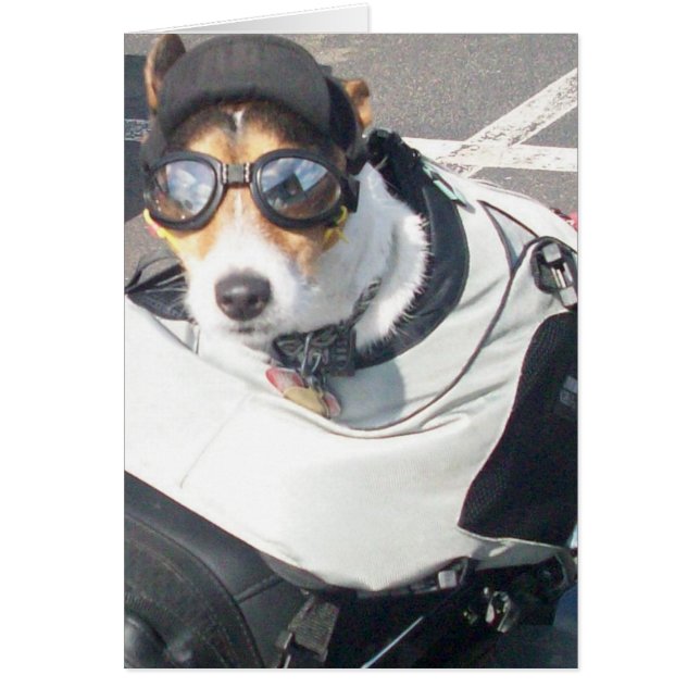 Hog Dog (Voorkant)