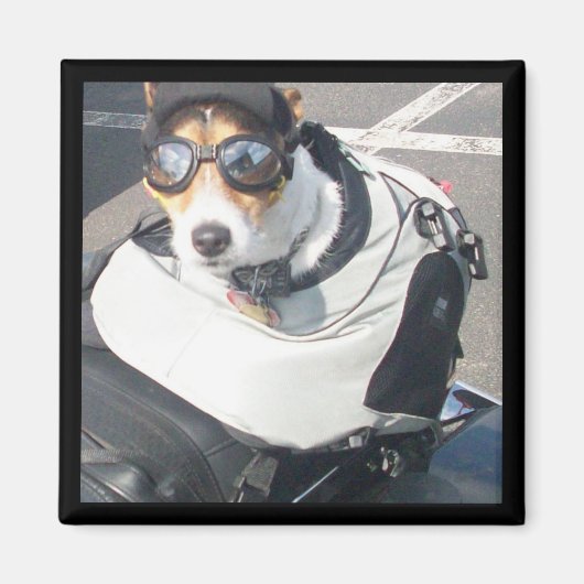 Hog Dog-koelkast Magnet Magneet (Voorkant)