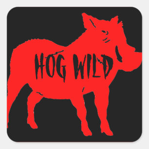 HOG WILD HELMET STICKERS PKG DE 20
