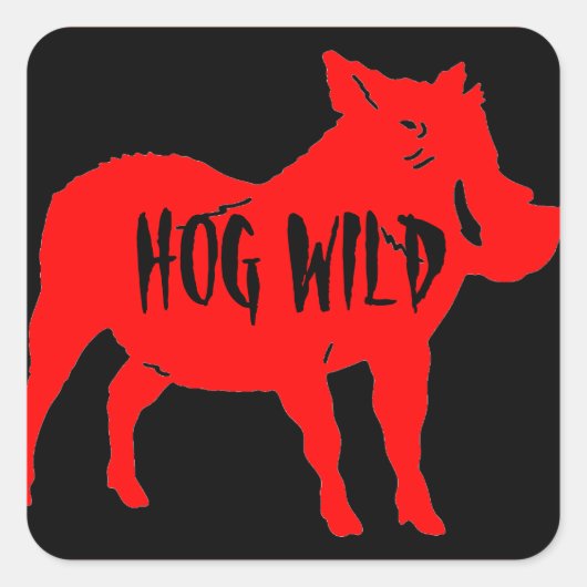 HOG WILDE HELM STICKERS PKG VAN 20 (Voorkant)