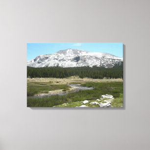 Hoge Bergstroom I Canvas Afdruk