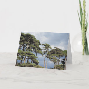 Hoge bomen met blauwe hemel blanco kaart