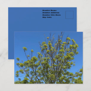 Hoge Es in de Mooie Blauwe Lucht Foto Briefkaart