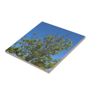 Hoge Es in de Mooie Blauwe Lucht Foto Tegeltje
