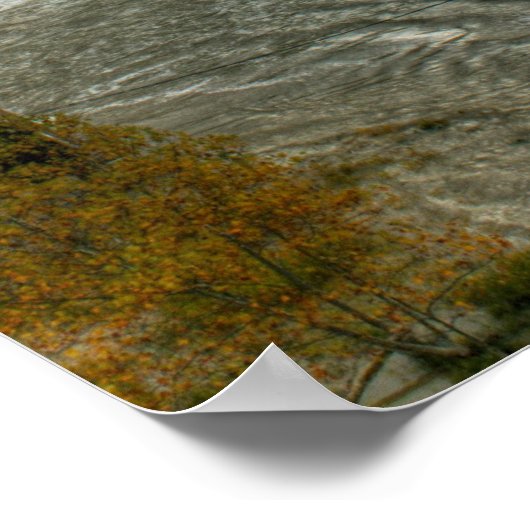 Hoge Herfsten Poster (Hoek)