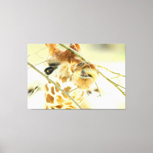 HOGE HOOP 40x60 Canvas Afdruk