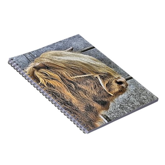 HOGE KOE NOTITIEBOEK (Rechterzijde)