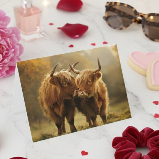 Hoge koeien verliefd ansichtkaart kaart