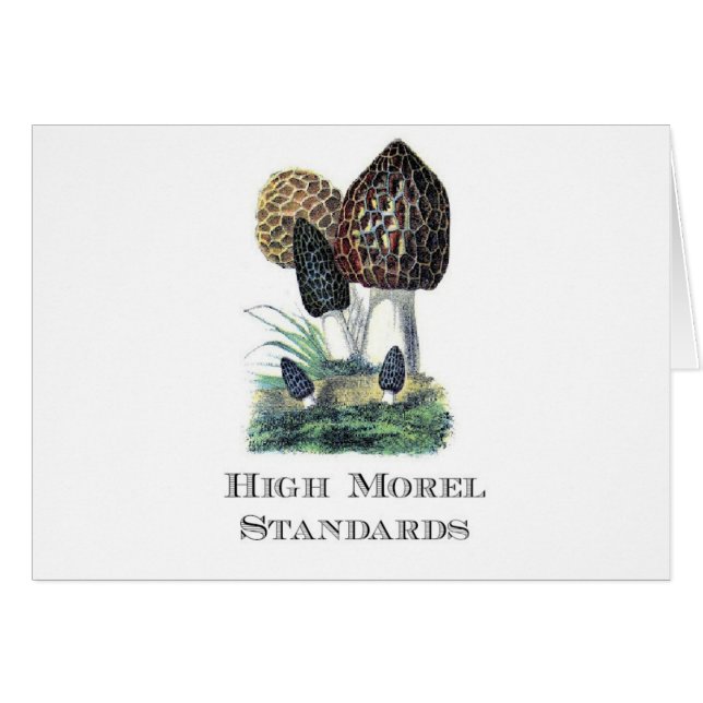 Hoge morel standaarden (Voorkant Horizontaal)