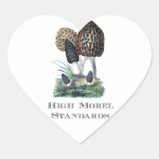 Hoge morele normen hart sticker