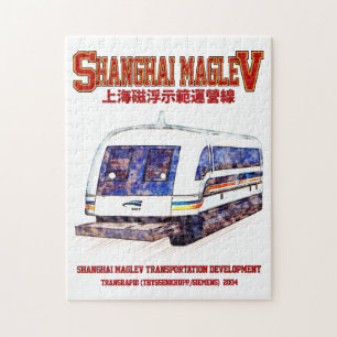 Hoge snelheid Shanghai Maglev SMT Transrapid Train Legpuzzel
