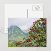 Hoge Tatras Slowakije Briefkaart (Voorkant / Achterkant)