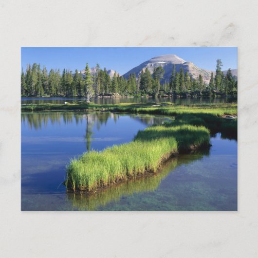 HOGE UINTAS WILDERNESS, UT, US, penisula, Briefkaart (Voorkant)