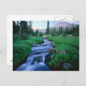HOGE UINTAS WILDERNESS, UTAH. Stillwater Fork Briefkaart (Voorkant / Achterkant)