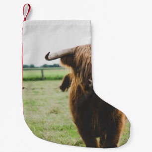 HOGE VANGST OP HET VELD TIJDENS DE DAG KLEINE KERSTSOK