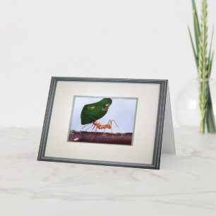 Hoge verwachtingen kaart