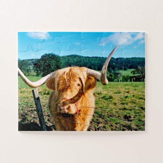 Hogeland koe puzzel (Horizontaal)