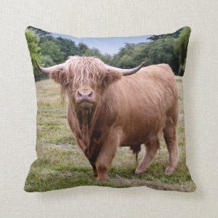Hogelandenkool Pillow Kussen