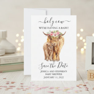 Hogendonkous Baby Shower Save the Date 