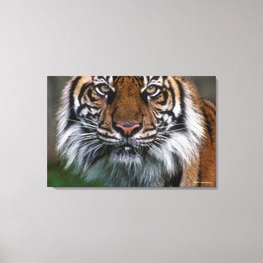 Hoger hoofd en gezicht canvas afdruk (Voorkant)