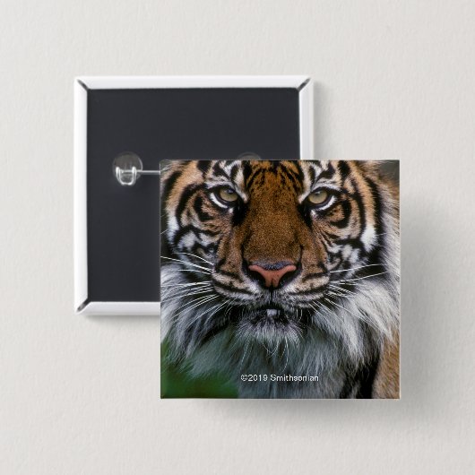 Hoger hoofd en gezicht vierkante button 5,1 cm (Voorkant /achterkant)